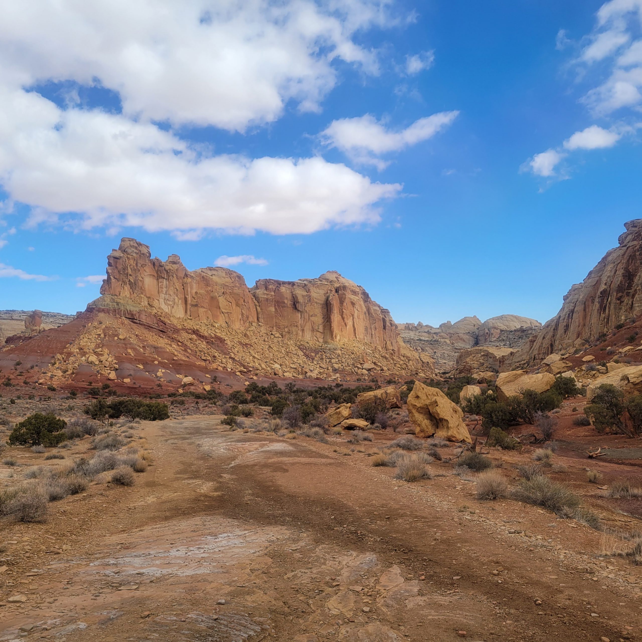 Featured image for “R.S. 2477”