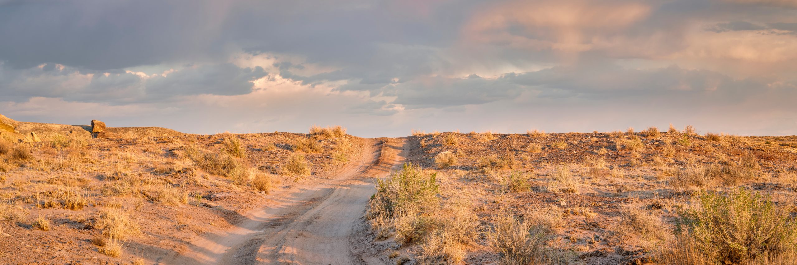 Featured image for “Access Map 360”