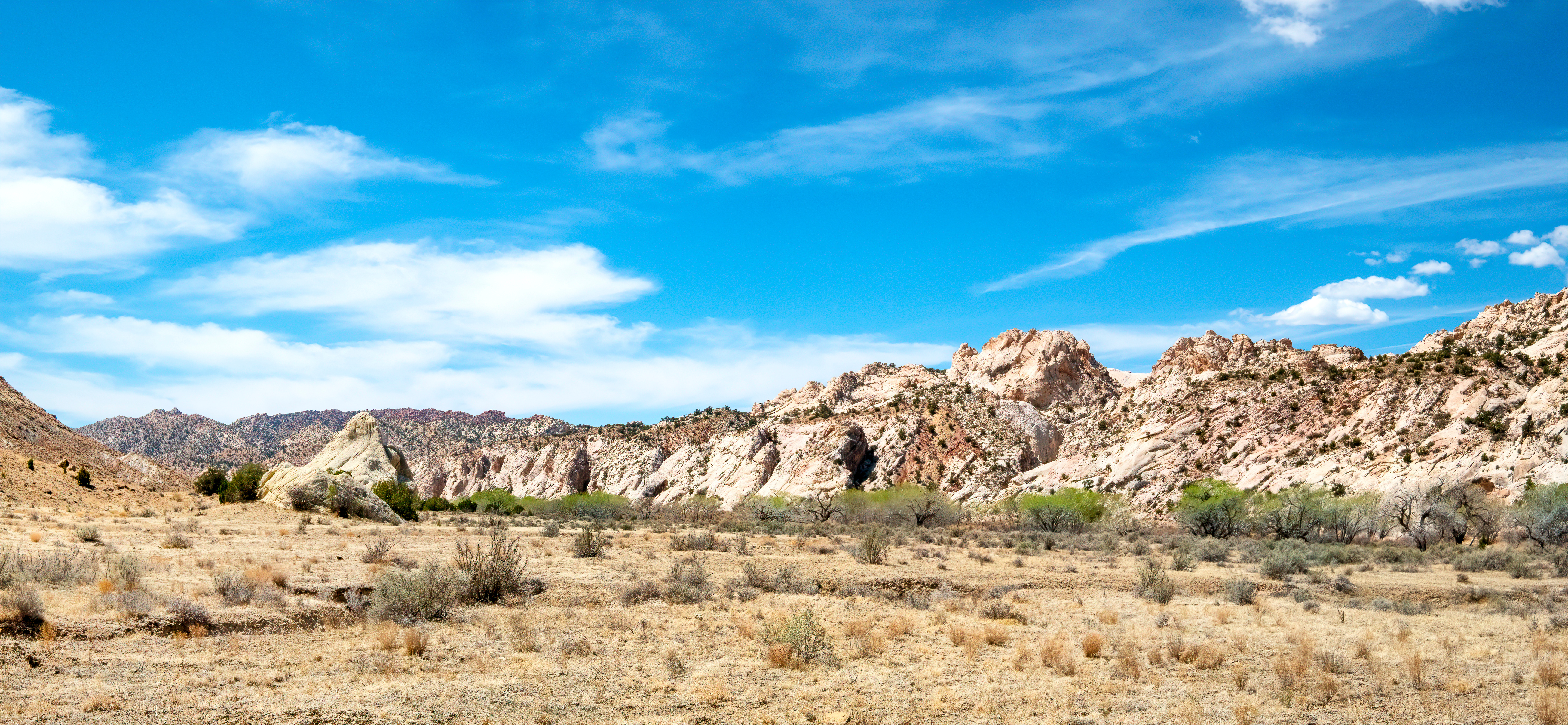 Featured image for “Public Lands Rule”