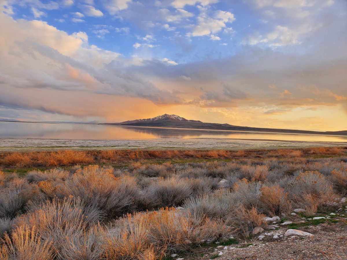 Great Salt Lake PLPCO