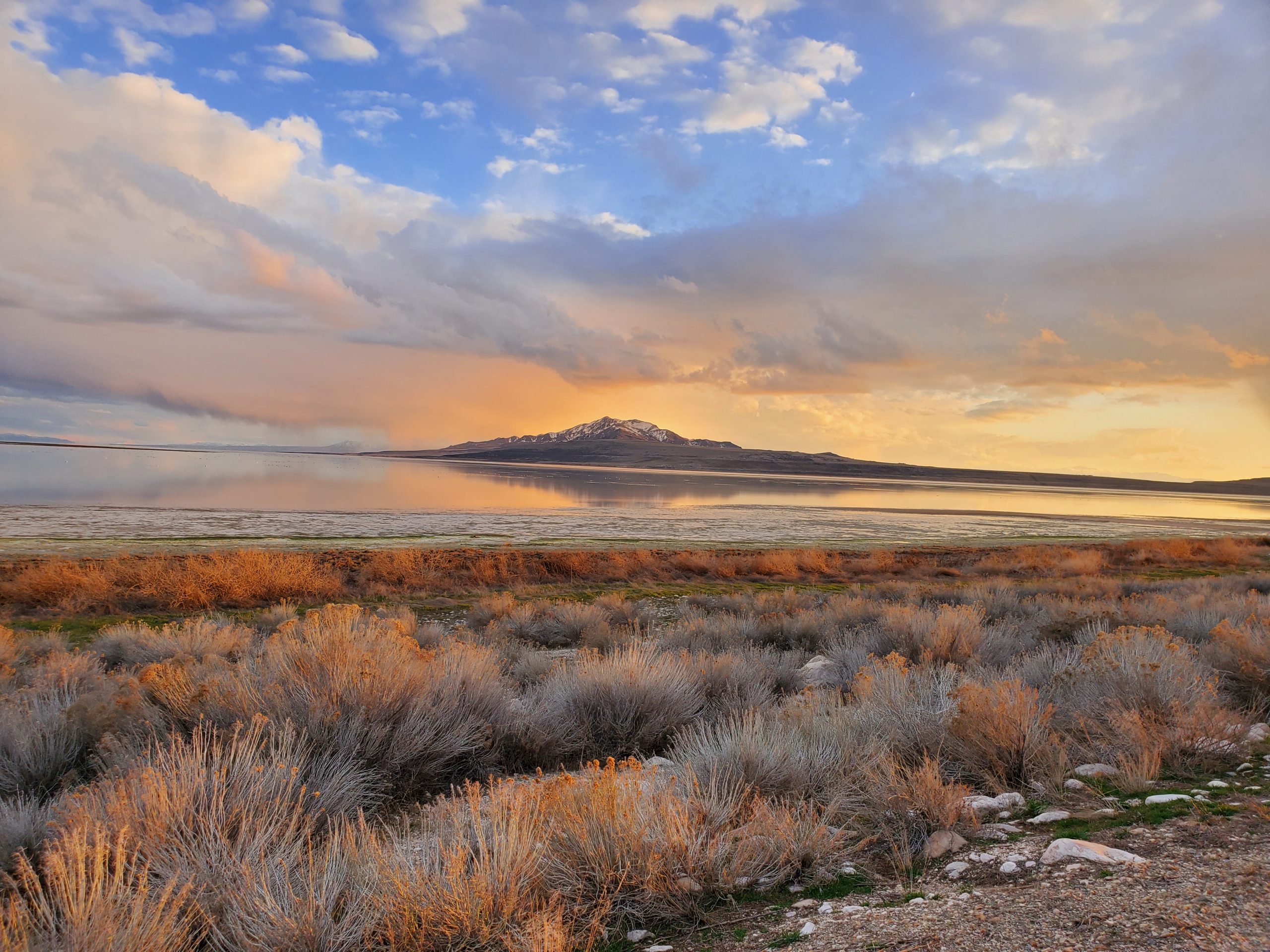 Featured image for “Great Salt Lake”