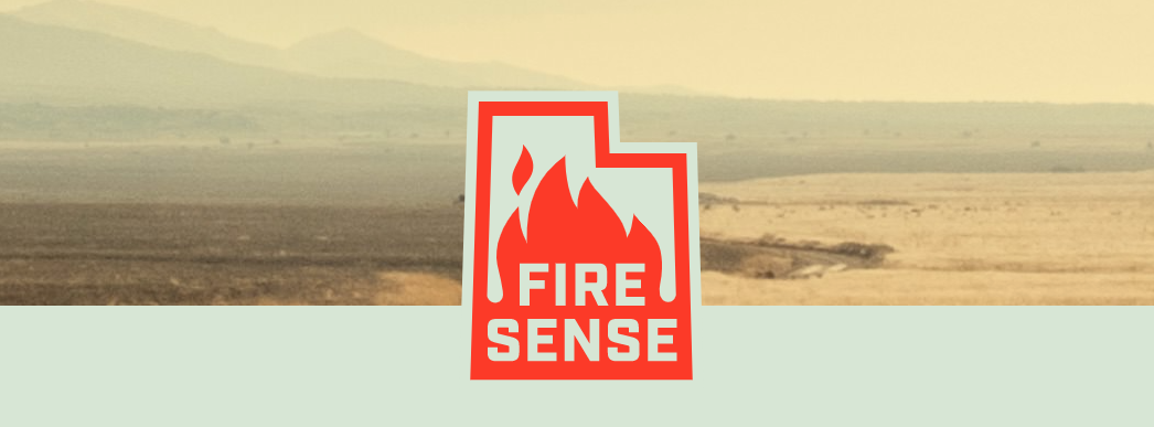 Featured image for “Fire Sense”